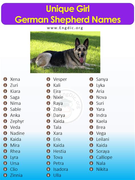 unusual german shepherd names|unique german shepherd names female.